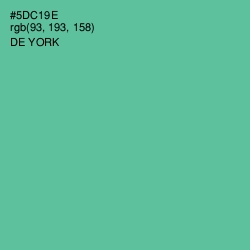 #5DC19E - De York Color Image