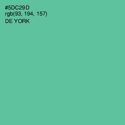 #5DC29D - De York Color Image