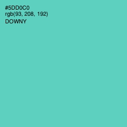 #5DD0C0 - Downy Color Image