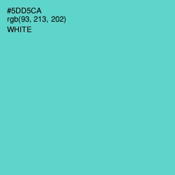 #5DD5CA - Downy Color Image