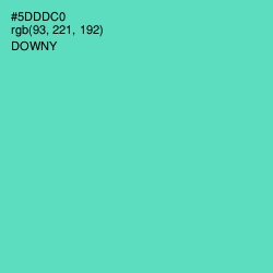 #5DDDC0 - Downy Color Image