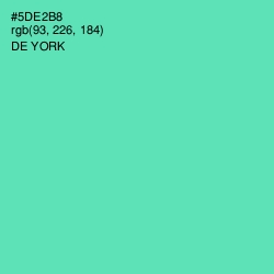 #5DE2B8 - De York Color Image