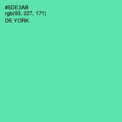 #5DE3AB - De York Color Image