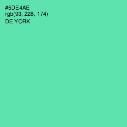 #5DE4AE - De York Color Image