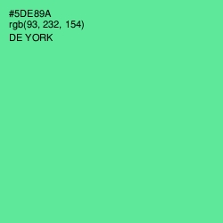 #5DE89A - De York Color Image