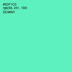 #5DF1C0 - Downy Color Image