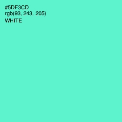 #5DF3CD - Aquamarine Color Image