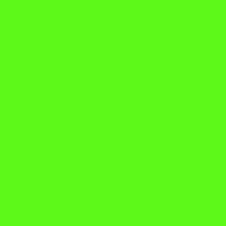 #5DFA19 - Bright Green Color Image