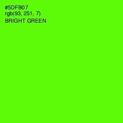 #5DFB07 - Bright Green Color Image