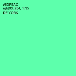 #5DFEAC - De York Color Image