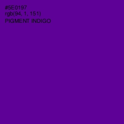 #5E0197 - Pigment Indigo Color Image