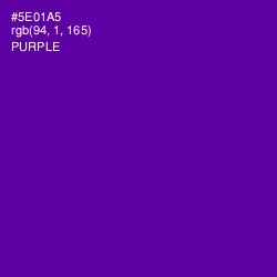 #5E01A5 - Purple Color Image
