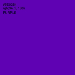 #5E02B4 - Purple Color Image