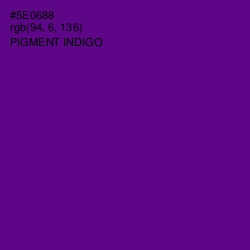 #5E0688 - Pigment Indigo Color Image