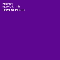 #5E0691 - Pigment Indigo Color Image
