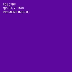 #5E079F - Pigment Indigo Color Image