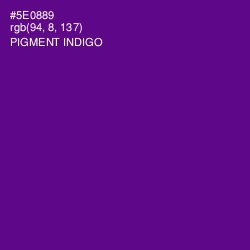 #5E0889 - Pigment Indigo Color Image