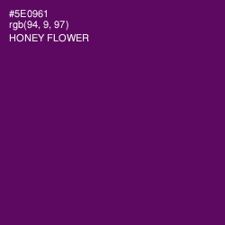 #5E0961 - Honey Flower Color Image