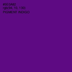 #5E0A82 - Pigment Indigo Color Image