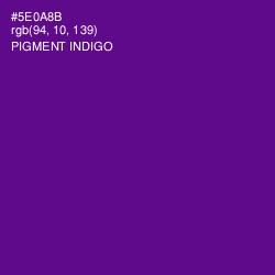 #5E0A8B - Pigment Indigo Color Image