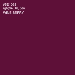 #5E1038 - Wine Berry Color Image