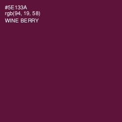 #5E133A - Wine Berry Color Image