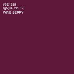 #5E1639 - Wine Berry Color Image