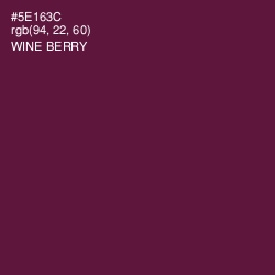 #5E163C - Wine Berry Color Image