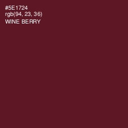 #5E1724 - Wine Berry Color Image