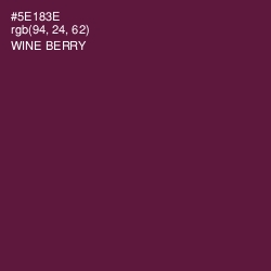 #5E183E - Wine Berry Color Image