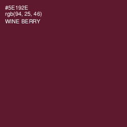 #5E192E - Wine Berry Color Image