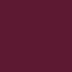 #5E1932 - Wine Berry Color Image