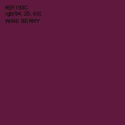 #5E193C - Wine Berry Color Image