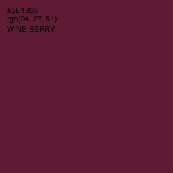 #5E1B33 - Wine Berry Color Image