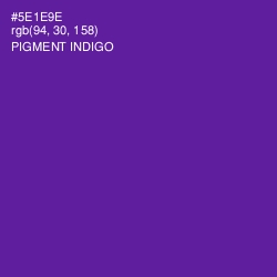 #5E1E9E - Pigment Indigo Color Image