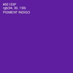 #5E1E9F - Pigment Indigo Color Image