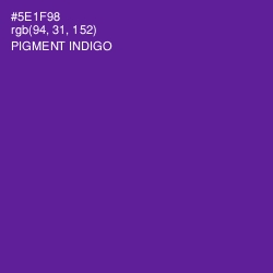 #5E1F98 - Pigment Indigo Color Image