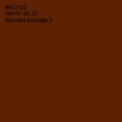 #5E2103 - Brown Bramble Color Image