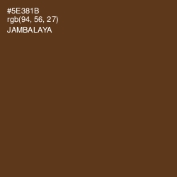 #5E381B - Jambalaya Color Image