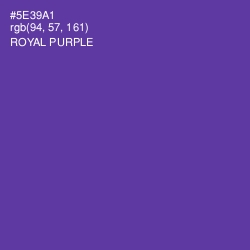 #5E39A1 - Royal Purple Color Image