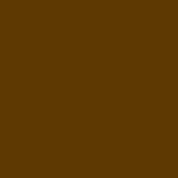 #5E3A02 - Saddle Brown Color Image
