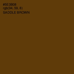 #5E3B08 - Saddle Brown Color Image