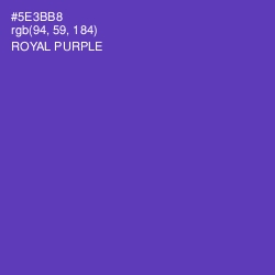 #5E3BB8 - Royal Purple Color Image