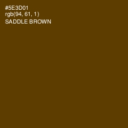 #5E3D01 - Saddle Brown Color Image