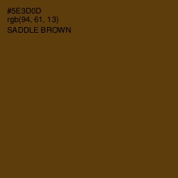 #5E3D0D - Saddle Brown Color Image