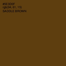 #5E3D0F - Saddle Brown Color Image