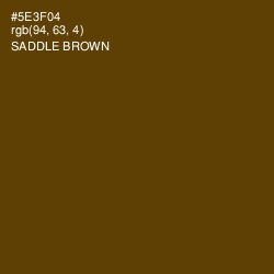 #5E3F04 - Saddle Brown Color Image