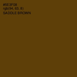 #5E3F08 - Saddle Brown Color Image