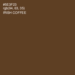#5E3F23 - Irish Coffee Color Image
