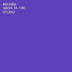#5E40BA - Studio Color Image